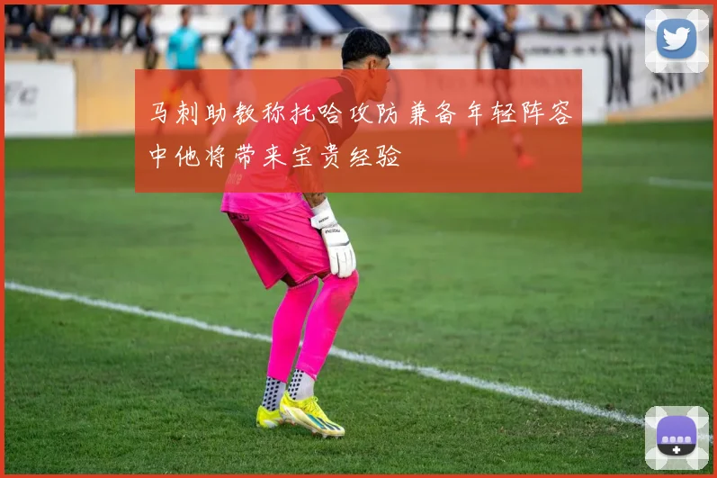 马刺助教称托哈攻防兼备年轻阵容中他将带来宝贵经验